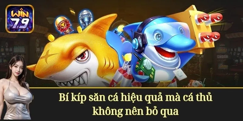 Bí kíp săn cá mà cá thủ không nên bỏ qua