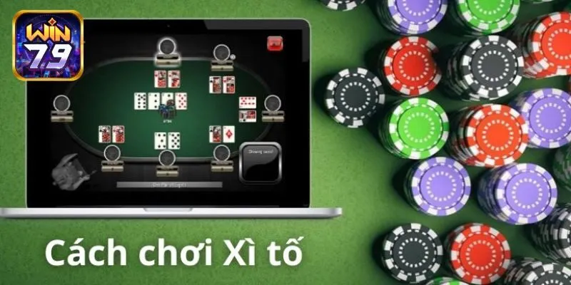 Chiến thuật chơi xì tố online giúp bet thủ thắng lớn mỗi ngày