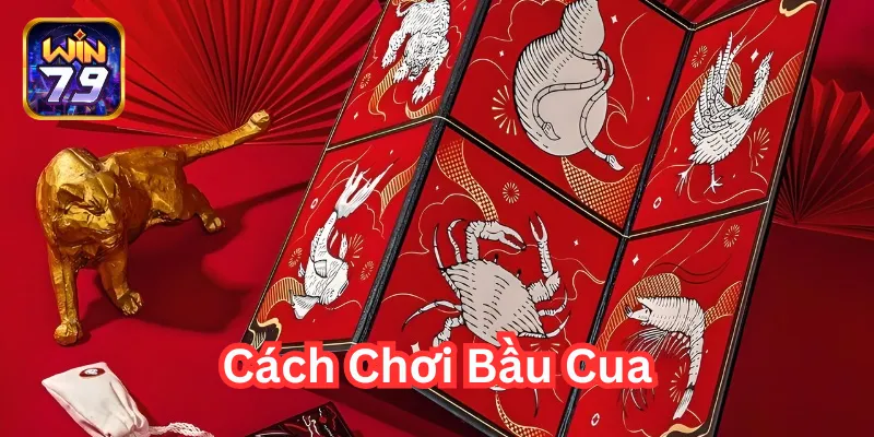 Cách Chơi Bầu Cua và những lưu ý quan trọng
