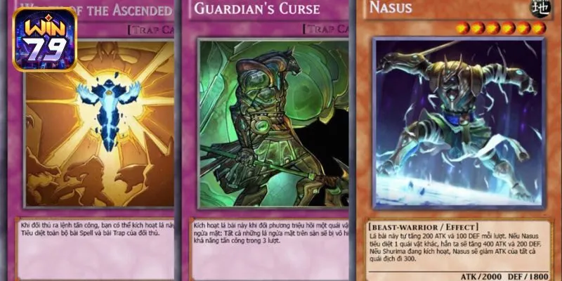 Kinh nghiệm chơi bài magic đơn giản cho tân binh