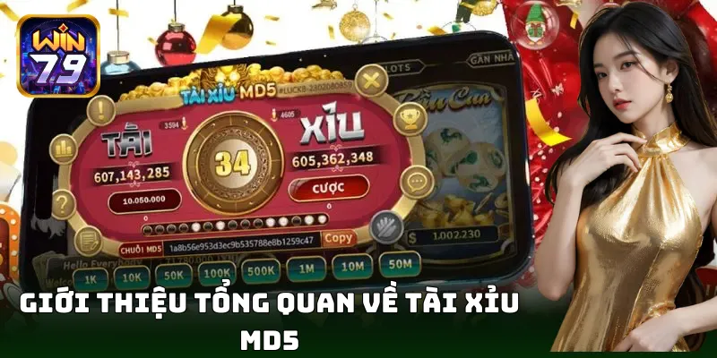 Tài Xỉu MD5 – Lựa chọn vàng của bet thủ